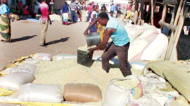 Maize output will stabilise inflation–Economists