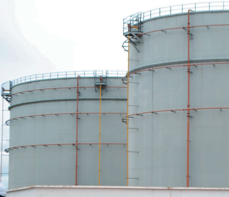 Malawi has healthy fuel stocks—Mera