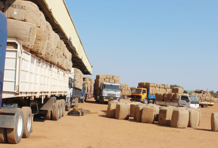 New measures as tobacco markets set to open