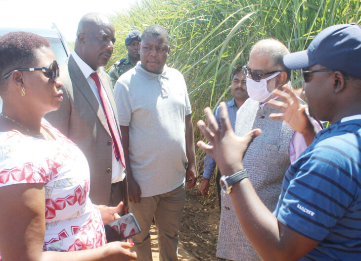 Sugar company triples production - The Times Group Malawi
