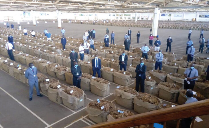 Tobacco sales start on low note