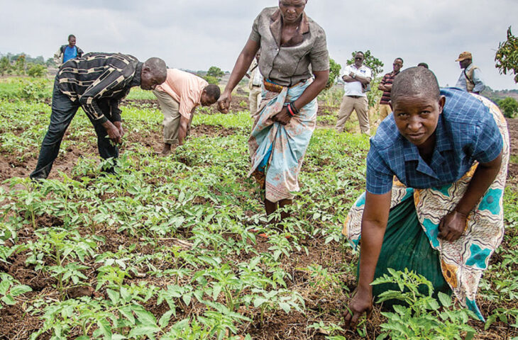 ‘Farmers are being duped’ - The Times Group Malawi