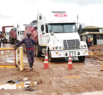 Malawi, others to pilot Comesa-eCo