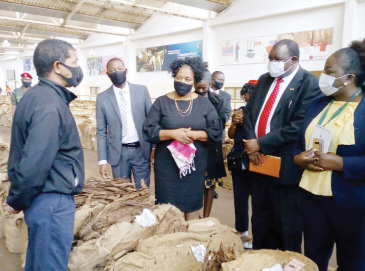 Tobacco output likely to shrink