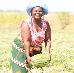 ‘Watermelons demand surge’ - The Times Group Malawi