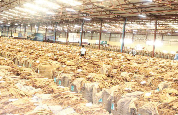 Tobacco output drops by 26.7%