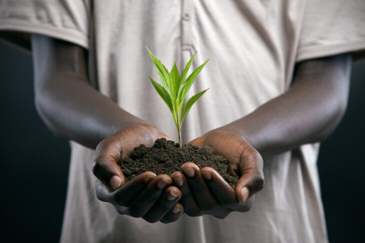 Black hand holding compost soil in Africa