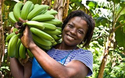 Black banana farmer smiling