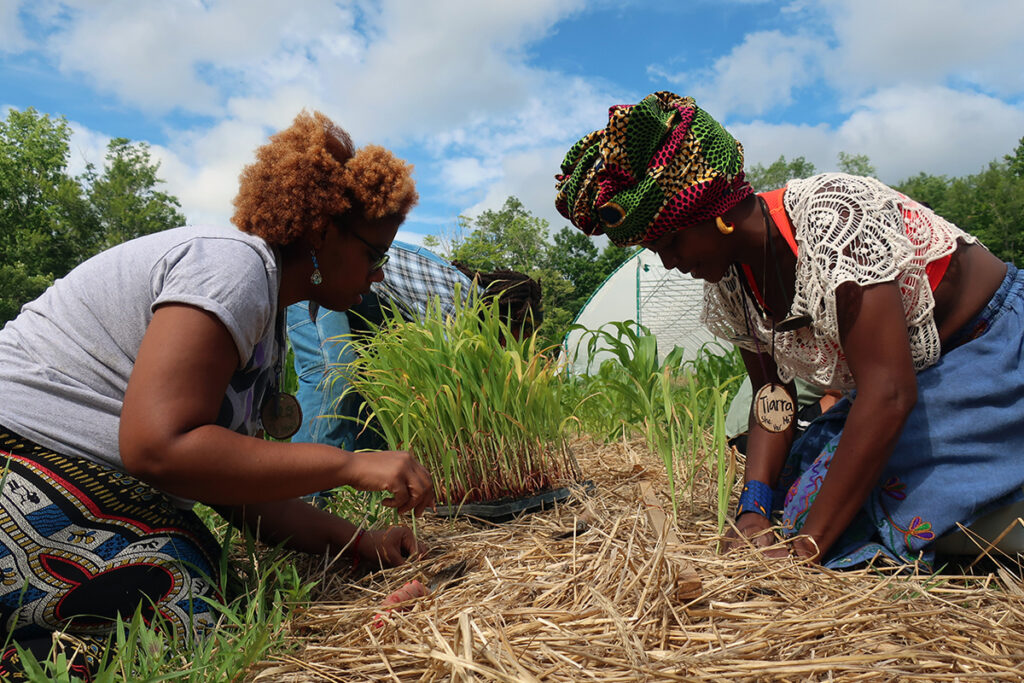 Black women farmers with compost soil