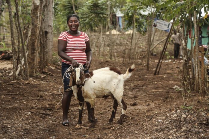 Smiling goat farmer