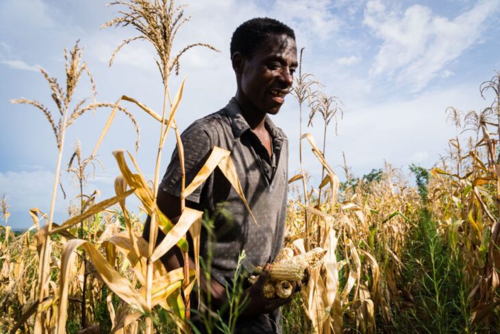 5 local solutions to fight hunger
