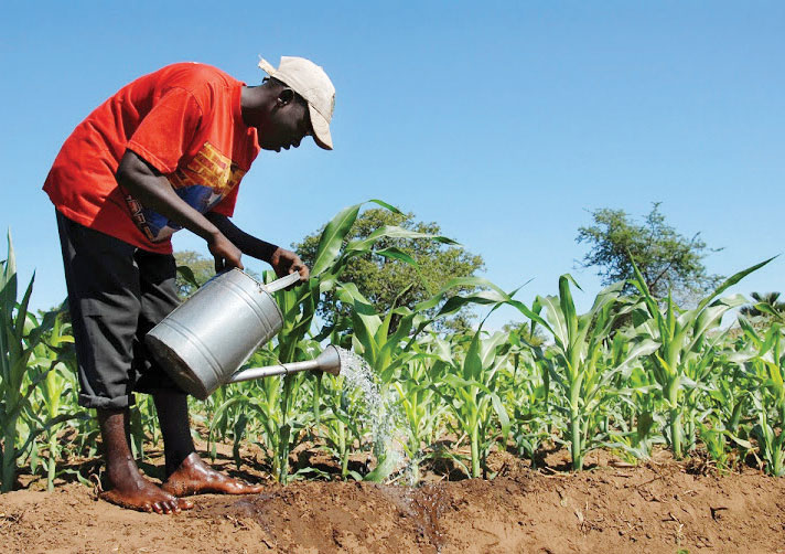 ILO, Malawi move to eliminate child labour