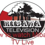 Mibawa TV Logo