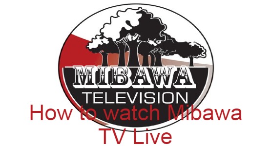 Mibawa TV Logo