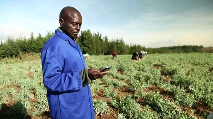 farmer using phone
