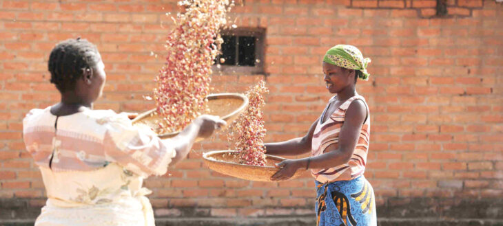 Soya hits K450/kg on rising export demand