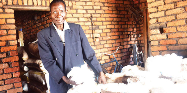 Cotton farmers settle for K360/kg