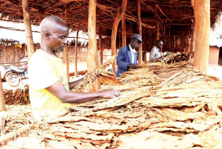 Bringing sanity in tobacco industry
