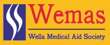 Wemas Official Logo