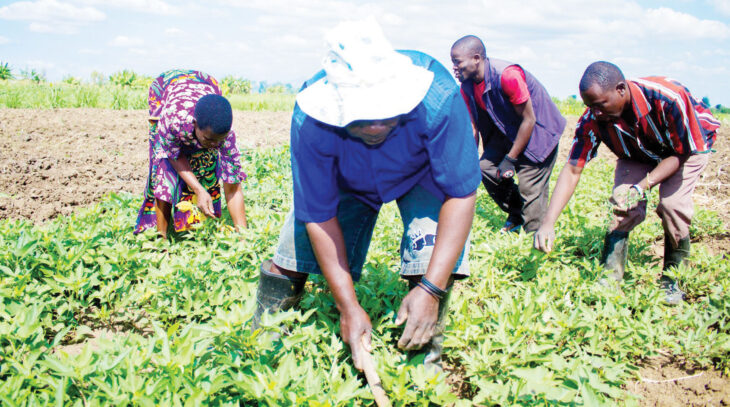 Group laments Covid effect on agriculture
