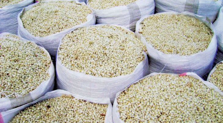 Headline inflation eases in August