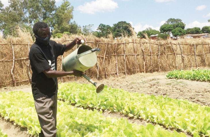 Farmers’ move from rags to riches