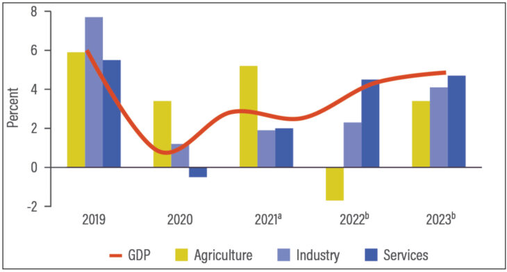 Low Gross Domestic Product growth bothers experts