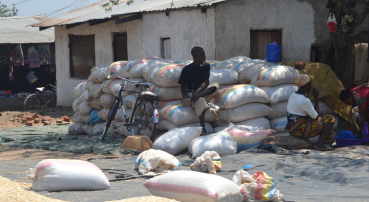 Reduction in income affect maize purchases