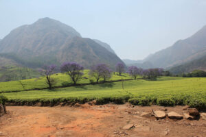 Mount Mulanje