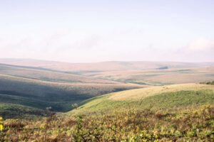 Nyika National Park