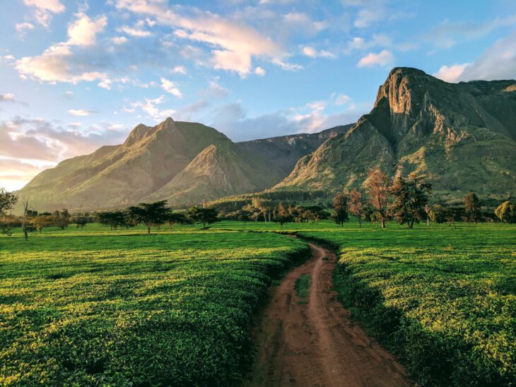 Visit Malawi General