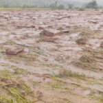 World Bank warns of food price crisis