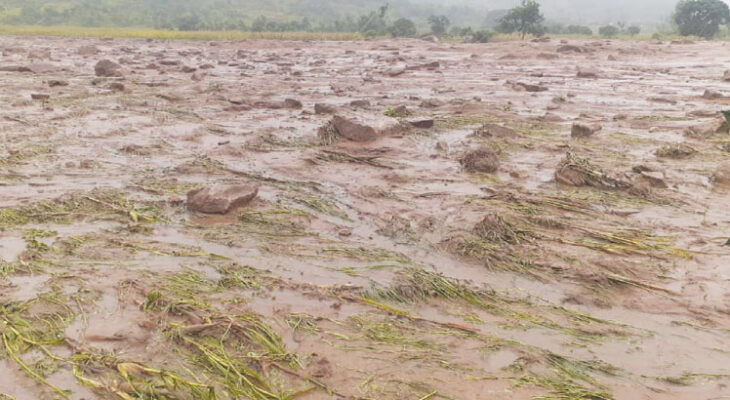 World Bank warns of food price crisis