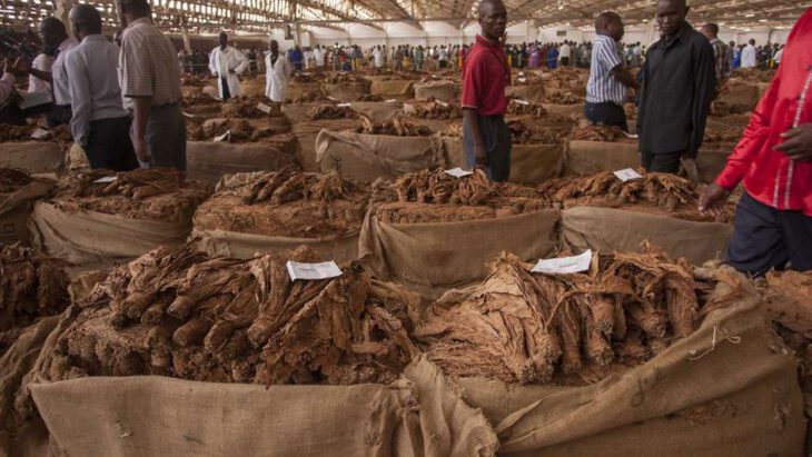 Farmers shun auction,prefer contract market