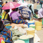Maize prices continue rising - The Nation Online