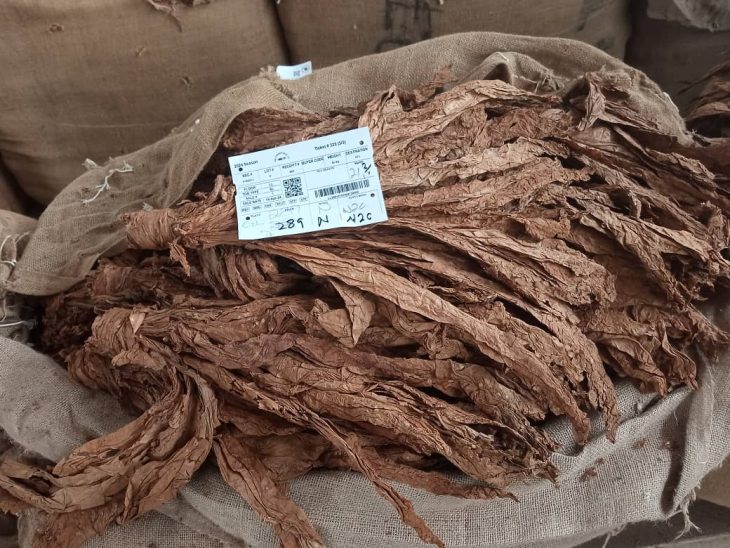 Tobacco earnings hit $143 million – The Times Group