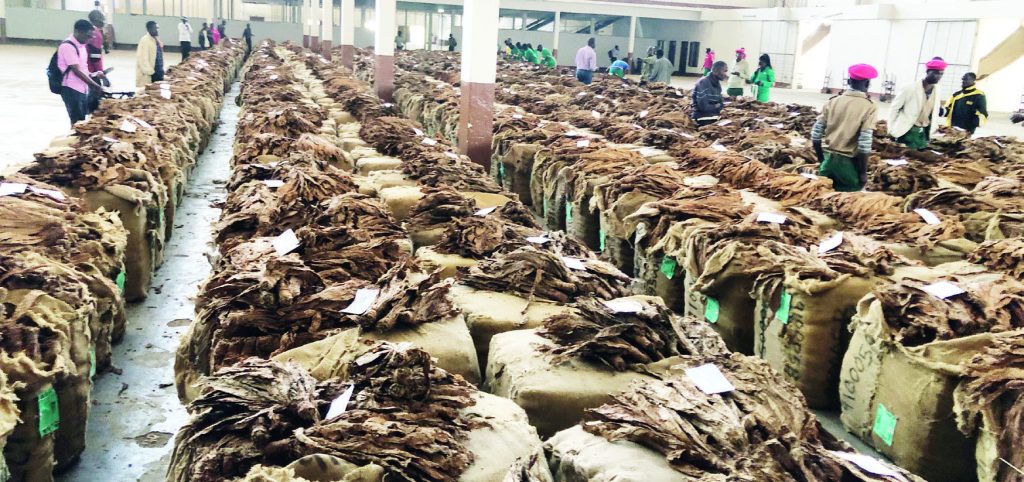 Tobacco revenue drops 17 percent – The Times Group