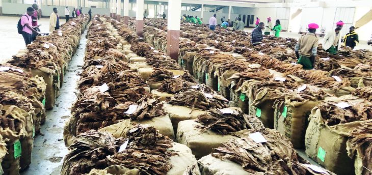 Tobacco revenue drops 17 percent – The Times Group
