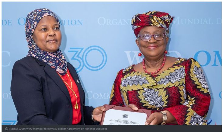 Malawi committed to WTO trading system—official