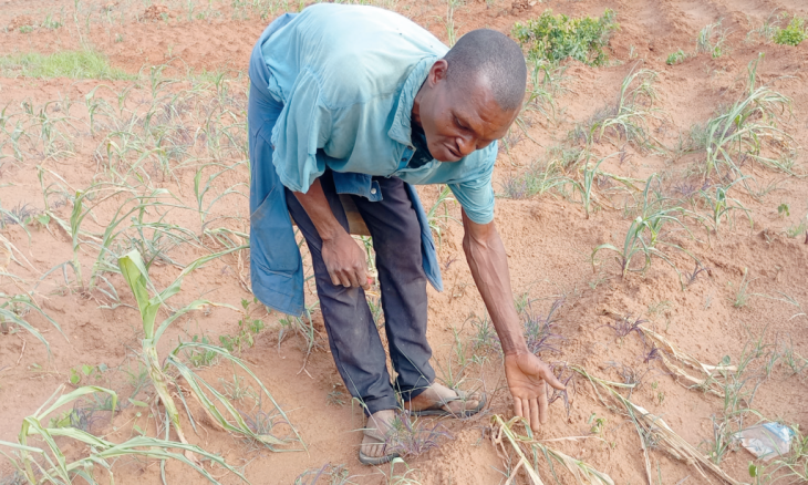 Informal maize exports start amid deficit