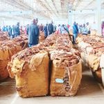 Malawi tobacco rakes in $245.6 million – The Times Group