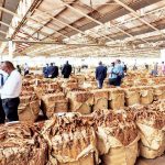 New growth plan for tobacco industry – The Times Group