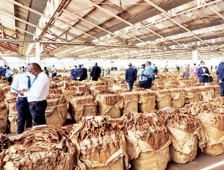 New growth plan for tobacco industry – The Times Group