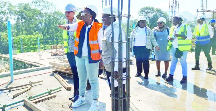 Forex shortages hit mega hotel project – The Times Group