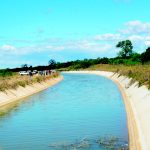 Irrigation sparks new hope for Shire Valley – The Times Group