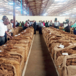 Tobacco generates K600bn, prices low