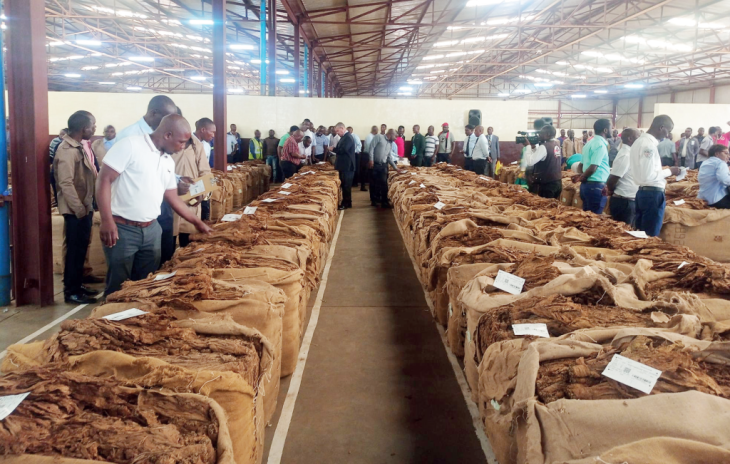 Tobacco generates K600bn, prices low