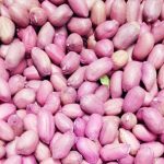 Initiative to boost Malawi export – The Times Group
