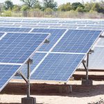 Malawi taps into carbon market – The Times Group