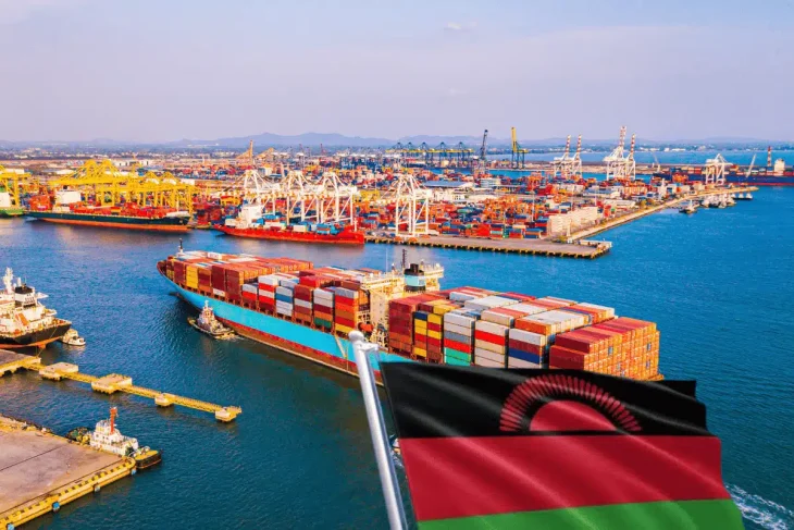 Malawi FDI stagnates - Nation Online